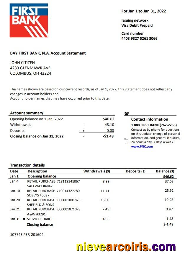 USA Bay First bank statement